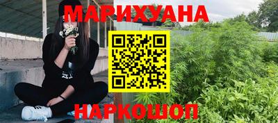 гидра Краснокаменск