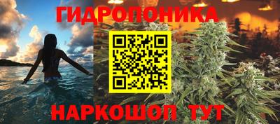 гидра Краснокаменск