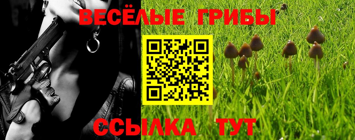 Галлюциногенные грибы ЛСД Еманжелинск