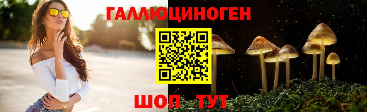 Галлюциногенные грибы Psilocybine cubensis  купить наркотики сайты  Еманжелинск  Вход с VPN 